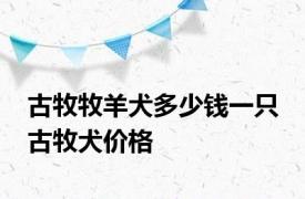 古牧牧羊犬多少钱一只 古牧犬价格 