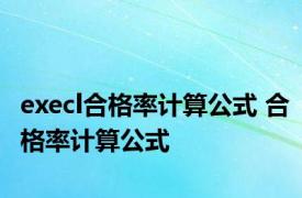 execl合格率计算公式 合格率计算公式 