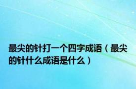 最尖的针打一个四字成语（最尖的针什么成语是什么）