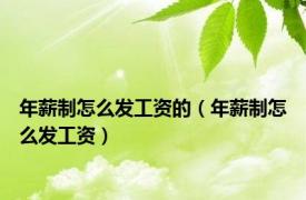 年薪制怎么发工资的（年薪制怎么发工资）