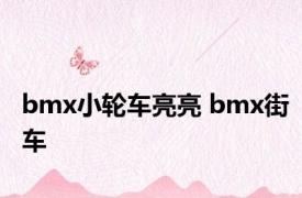 bmx小轮车亮亮 bmx街车 