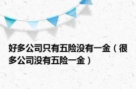 好多公司只有五险没有一金（很多公司没有五险一金）