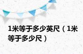 1米等于多少英尺（1米等于多少尺）