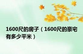 1600尺的房子（1600尺的豪宅有多少平米）