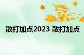 散打加点2023 散打加点 