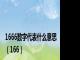 1666数字代表什么意思（166）