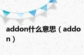 addon什么意思（addon）