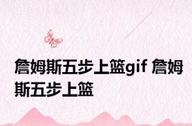 詹姆斯五步上篮gif 詹姆斯五步上篮 