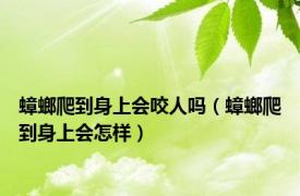 蟑螂爬到身上会咬人吗（蟑螂爬到身上会怎样）