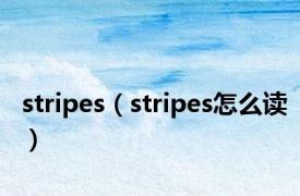 stripes（stripes怎么读）