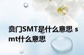 贲门SMT是什么意思 smt什么意思 