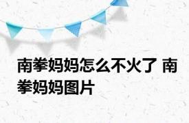 南拳妈妈怎么不火了 南拳妈妈图片 