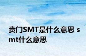 贲门SMT是什么意思 smt什么意思 