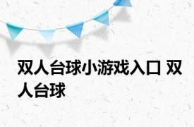 双人台球小游戏入口 双人台球 