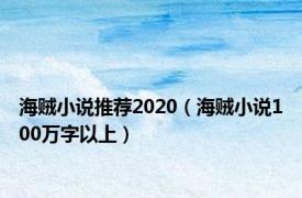 海贼小说推荐2020（海贼小说100万字以上）