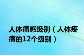 人体痛感级别（人体疼痛的12个级别）