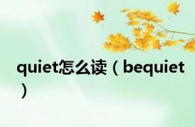 quiet怎么读（bequiet）