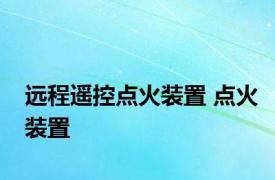 远程遥控点火装置 点火装置 