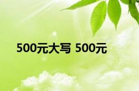 500元大写 500元 