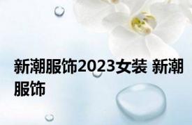 新潮服饰2023女装 新潮服饰 