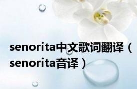 senorita中文歌词翻译（senorita音译）