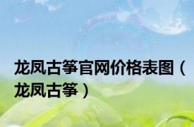 龙凤古筝官网价格表图（龙凤古筝）