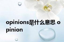 opinions是什么意思 opinion 