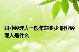 职业经理人一般年薪多少 职业经理人是什么 