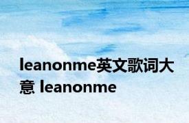 leanonme英文歌词大意 leanonme 