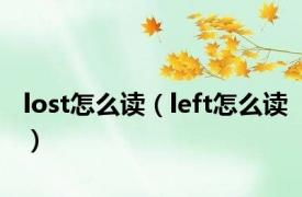 lost怎么读（left怎么读）