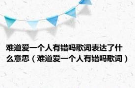 难道爱一个人有错吗歌词表达了什么意思（难道爱一个人有错吗歌词）