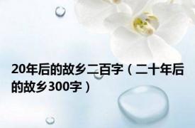 20年后的故乡二百字（二十年后的故乡300字）