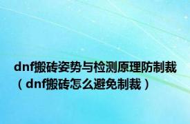 dnf搬砖姿势与检测原理防制裁（dnf搬砖怎么避免制裁）