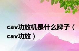 cav功放机是什么牌子（cav功放）