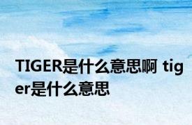 TIGER是什么意思啊 tiger是什么意思 