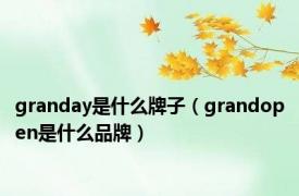 granday是什么牌子（grandopen是什么品牌）