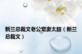 新兰总裁文老公宠妻太甜（新兰总裁文）