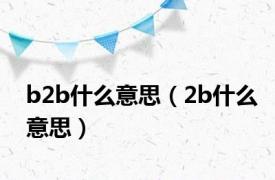 b2b什么意思（2b什么意思）