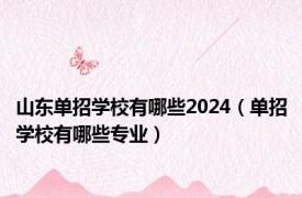 山东单招学校有哪些2024（单招学校有哪些专业）