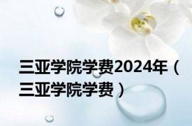 三亚学院学费2024年（三亚学院学费）