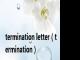 termination letter（termination）