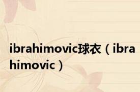 ibrahimovic球衣（ibrahimovic）