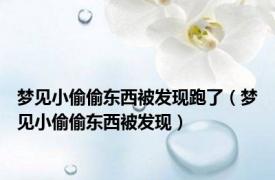 梦见小偷偷东西被发现跑了（梦见小偷偷东西被发现）