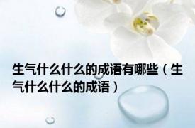 生气什么什么的成语有哪些（生气什么什么的成语）