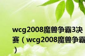 wcg2008魔兽争霸3决赛（wcg2008魔兽争霸）