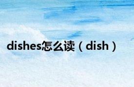 dishes怎么读（dish）