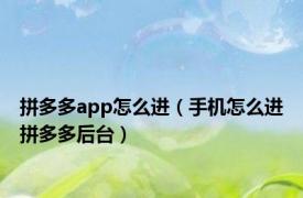 拼多多app怎么进（手机怎么进拼多多后台）