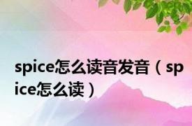 spice怎么读音发音（spice怎么读）